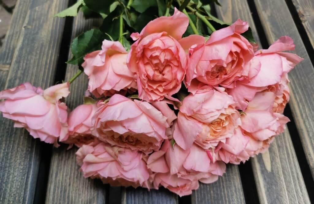 Розы с доставкой Барановичи Цветочный Рай